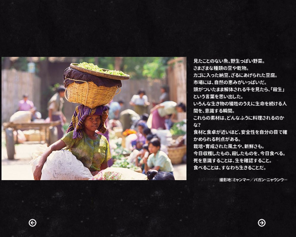 02n-101510-1.jpg