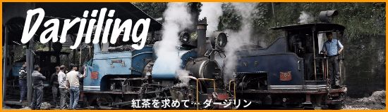 darjiling_トイトレイン