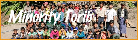 D-100210_minority