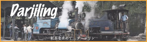 darjiling_トイトレイン