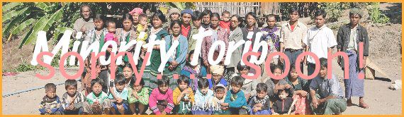 D-100210_minority
