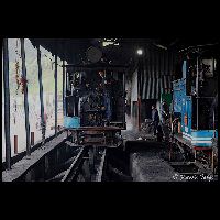 I11032_MG_0246