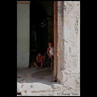 T01561_5CB3693