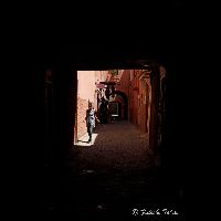 Q01099_11D4118