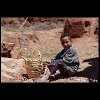 Q03077_11D4443