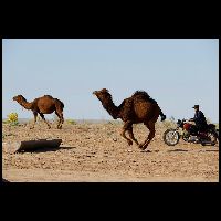 U02009_7UB0199