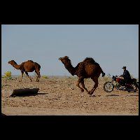 U02009_7UB0199