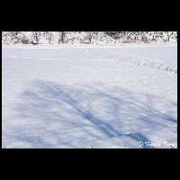 北海道･平取町_Ad-01017_MG_7502