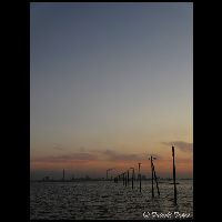 千葉･江川海岸_Cd-042094_IMG_2045