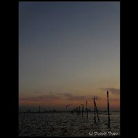 千葉･江川海岸_Cd-042094_IMG_2045