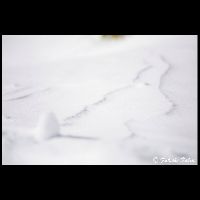 群馬･満座_Bd-01045_MG_7442