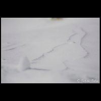 群馬･満座_Bd-01045_MG_7442