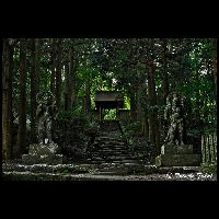 国東半島･両子寺_Fd-03241_MG_7875