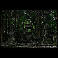 国東半島･両子寺_Fd-03241_MG_7875