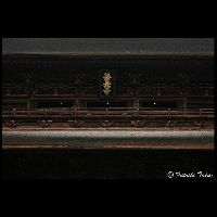 長野･善光寺_Cd-12032_MG_0043