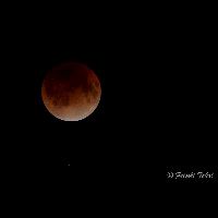 2011.12.10　皆既月食_Cd-016012_11D1806