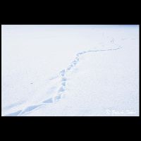北海道･平取町_Ad-01064_MG_7593