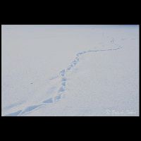北海道･平取町_Ad-01064_MG_7593