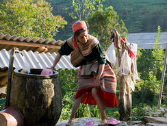 50m_mg_1288-3.jpg