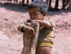 49o-0920115-3.jpg