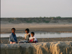 n01008_8bl6672-3.jpg